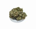 CBD Kwiaty Konopi " SUPER JAMAICA" 1 g