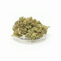 CBD Kwiaty Konopi "TANGERINE DREAM" 1 g