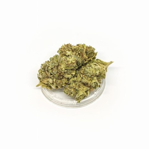 CBD Kwiaty Konopi "TANGERINE DREAM" 1 g
