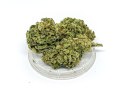 CBD Kwiaty Konopi "TROPICANA" 1 g