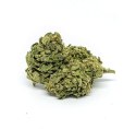 CBD Kwiaty Konopi "TROPICANA" 1 g