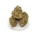 Kwiaty konopi CBD "HAWAI HAZE" 1 g