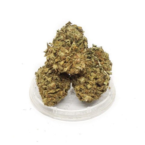 Kwiaty konopi CBD "HAWAI HAZE" 1 g