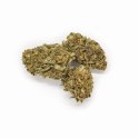 Kwiaty konopi CBD "HAWAI HAZE" 1 g