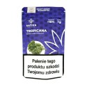 CBD Kwiaty Konopi "TROPICANA" 1 g