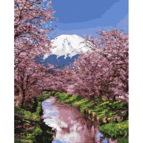 Malowanie po numerach 40x50 Kwitnąca Sakura