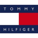 ZEGAREK MĘSKI TOMMY HILFIGER 1791631 SHAWN (zf057c)