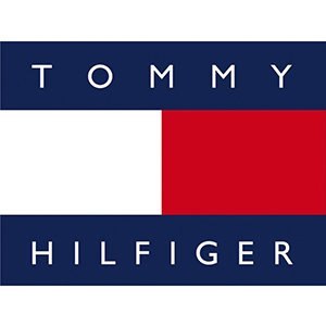 ZEGAREK MĘSKI TOMMY HILFIGER 1791631 SHAWN (zf057c)
