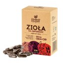 Zioła na odporność - Kombinat Konopny - 100 kapsułek, 500mg CBD