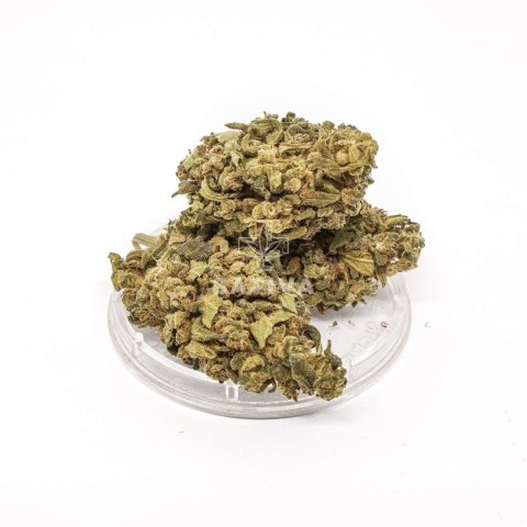 CBD Kwiaty Konopi "GREEN C" 5 g