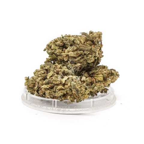 CBD Kwiaty Konopi "GREEN C" 5 g