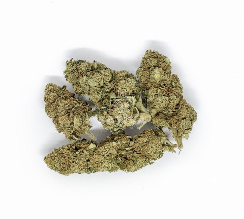 CBD Kwiaty Konopi "KOSHER KUSH" 5 g