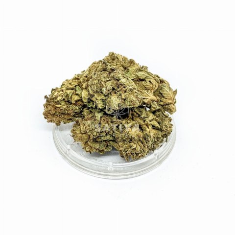 CBD Kwiaty Konopi "OG KUSH" 5 g