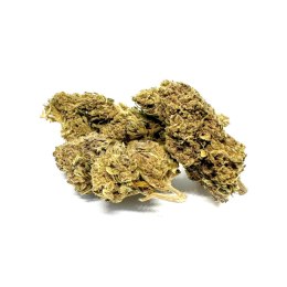 CBD Kwiaty Konopi 