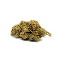 CBD Kwiaty Konopi "RED" 3,5 g