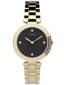 ZEGAREK DAMSKI TIMEX City TW2V24400 + BOX