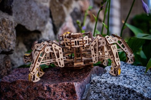 HEXAPOD ODKRYWCA
