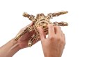 HEXAPOD ODKRYWCA