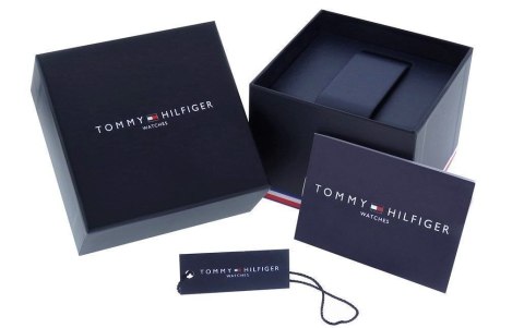Zegarek Męski Tommy Hilfiger Daniel 1710413