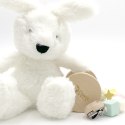 CLASSIC WORLD Prezent dla Niemowlaka Box Baby Shower Gryzak Przytulanka