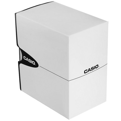 Zegarek Casio AW-49HE-2AVDF Dual time