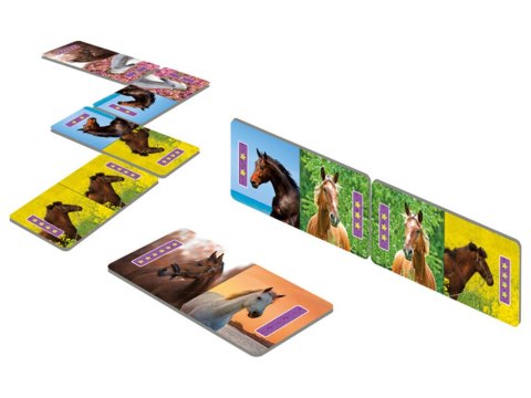 Alexnader Domino obrazkowe Konie - 3 warianty gry GR0701