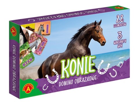 Alexnader Domino obrazkowe Konie - 3 warianty gry GR0701